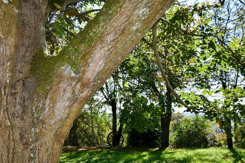 Maison à CASTELNAVET