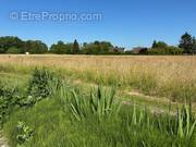 Terrain à LONGUEVILLE