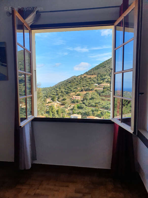 Appartement à BELGODERE