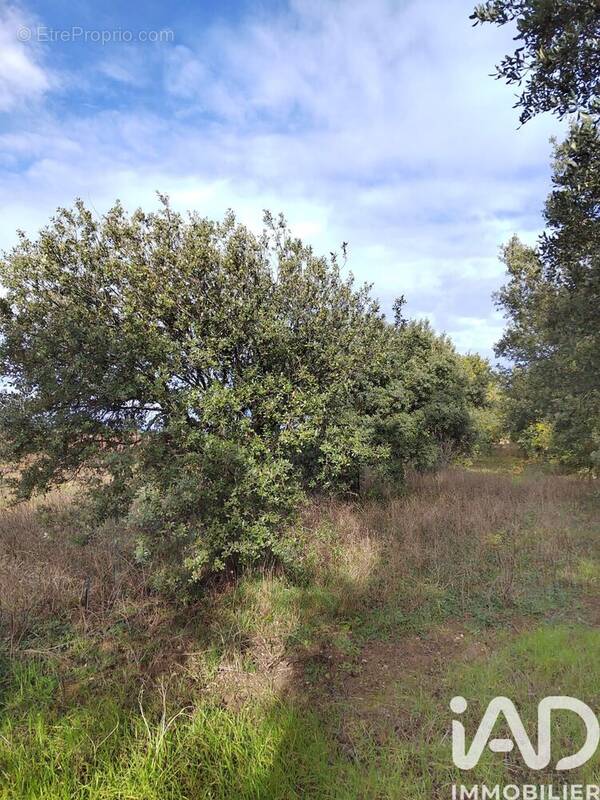 Photo 1 - Terrain à CAIRANNE