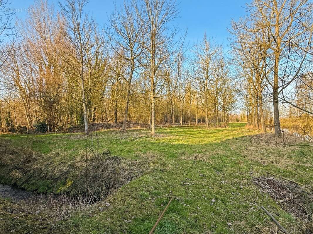 Demeure de Maître à 15min de Cambrai - photo 14