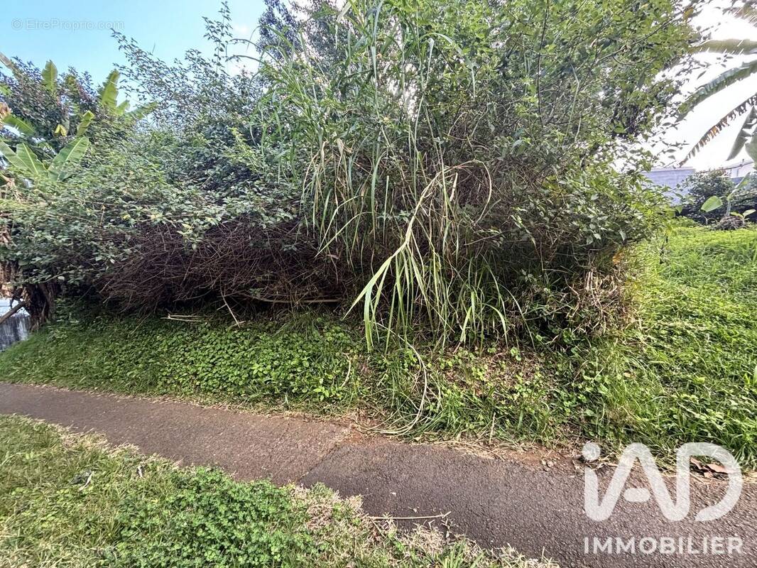 Photo 1 - Terrain à LE TAMPON