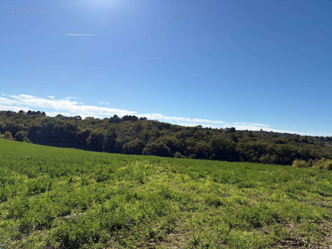 Terrain à TRELISSAC