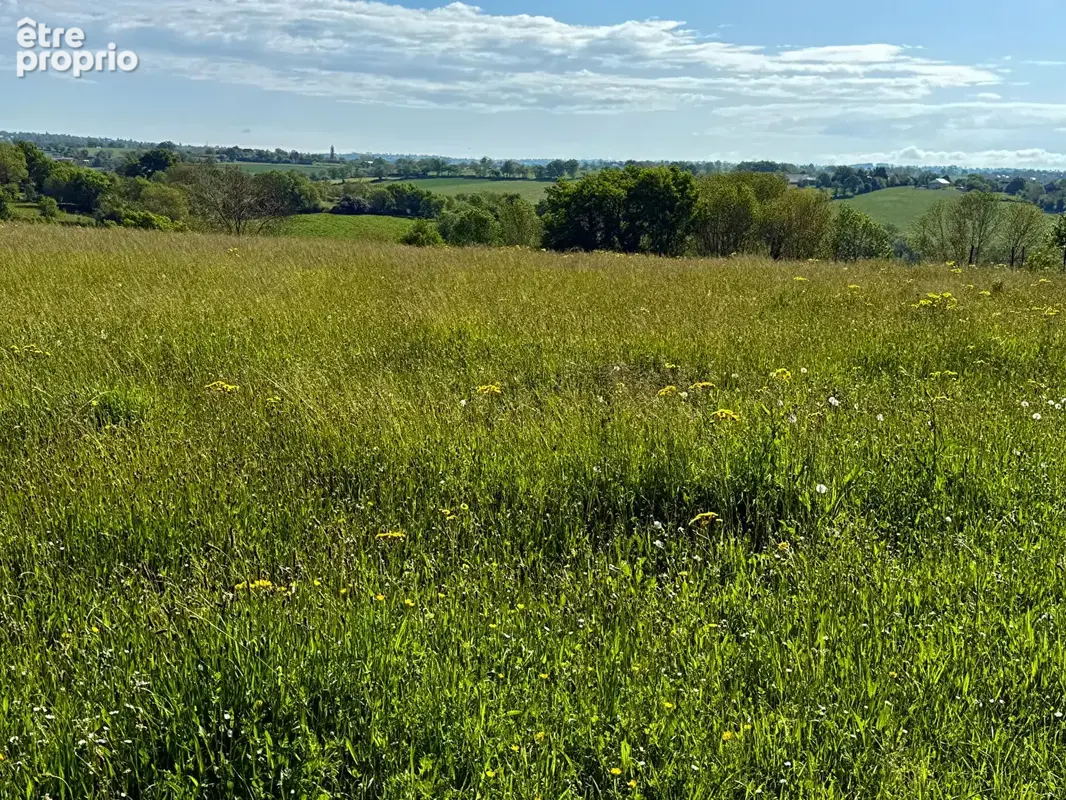 Terrain constructible 2100m2  - Sainte Juliette Sur Viaur. - photo 4