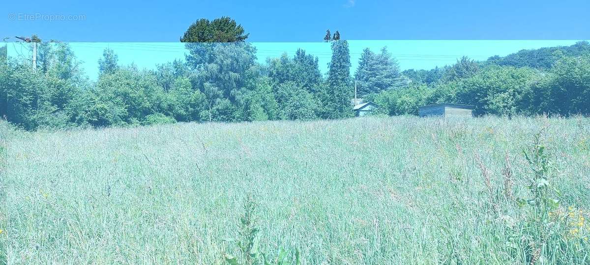 Terrain à TOURVILLE-EN-AUGE