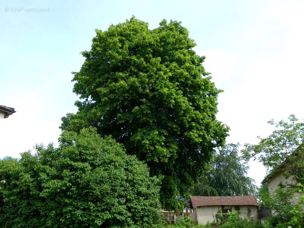 Maison à SAINT-LAURENT-DE-CHAMOUSSET