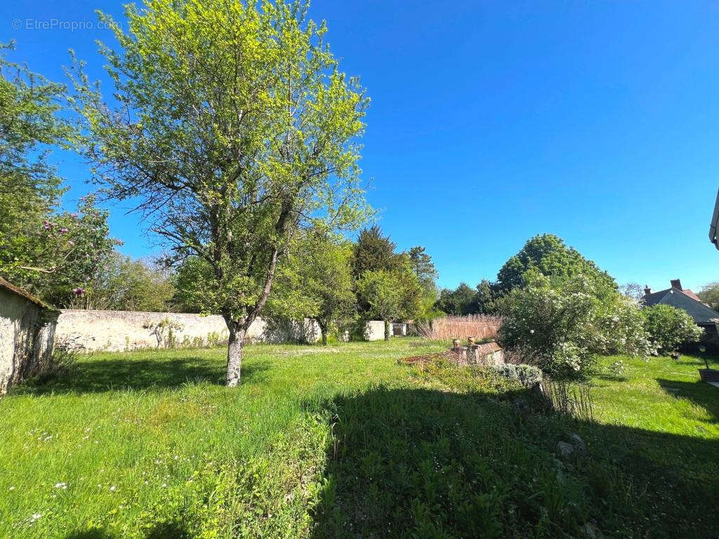 Presbytere sur son jardin  de 1200m2 - photo 10