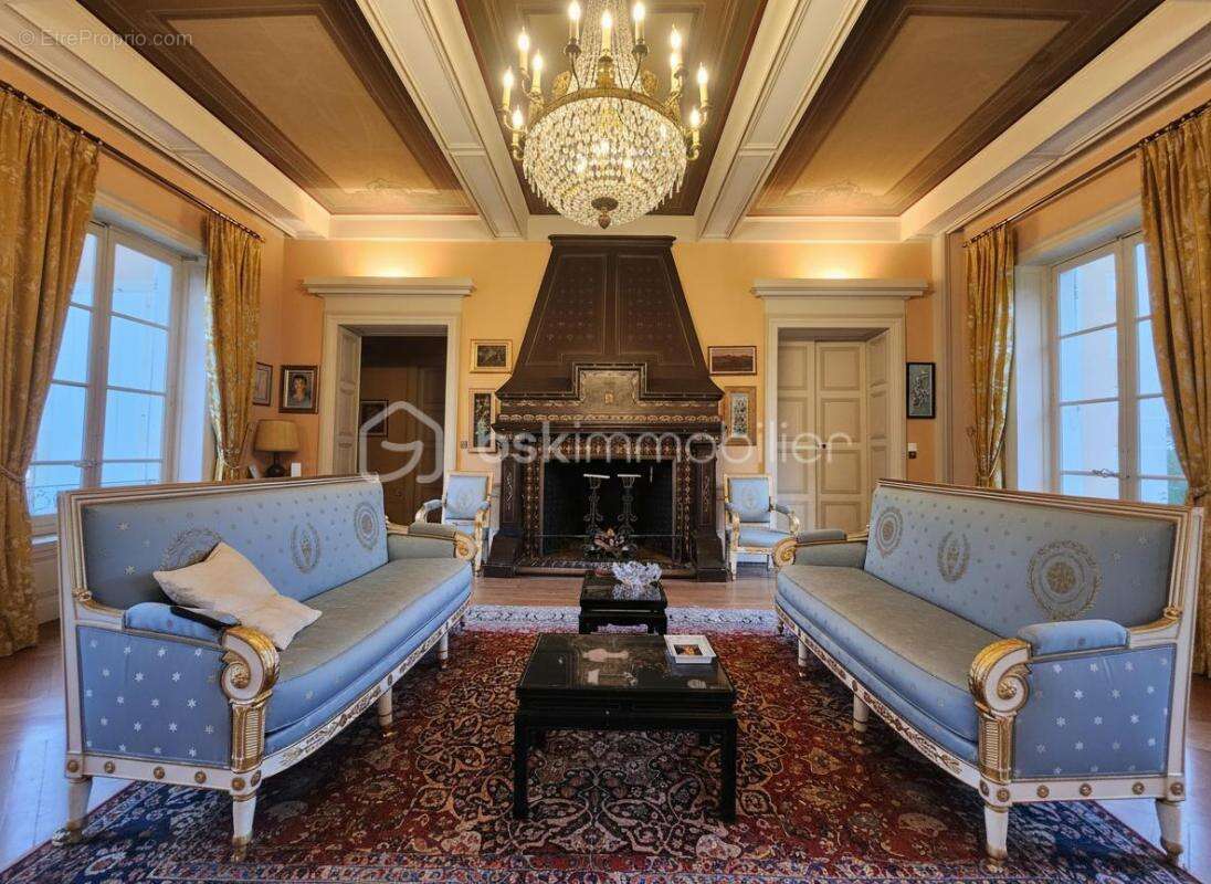Magnifique Chateau du XIX éme , dépendances, Maison de gardien/gite, parc arboré de 9,5 hectares - photo 7