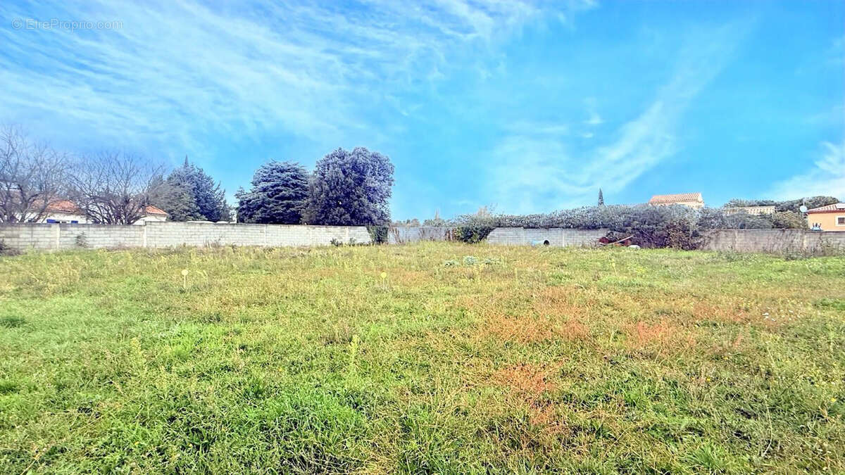 Terrain à CARCASSONNE
