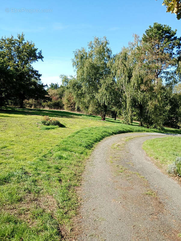 Maison à MOZE-SUR-LOUET