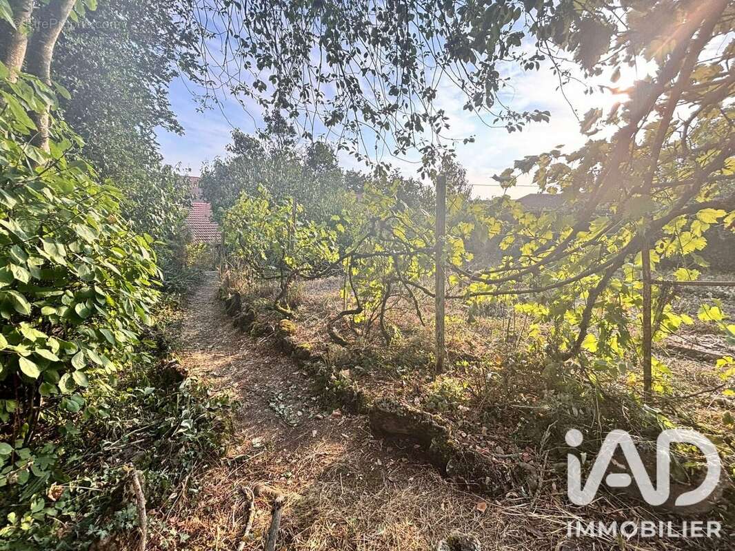 Maison 356 m² à Lay-Saint-Christophe  - photo 4