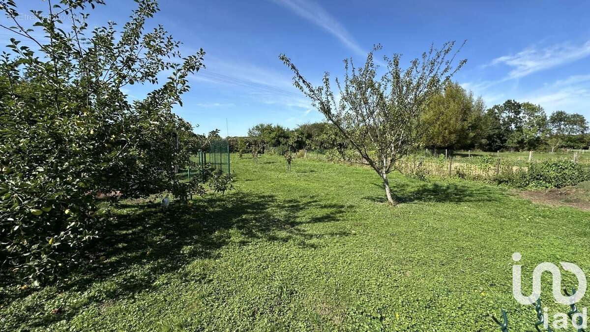 Photo 6 - Maison à COURTERANGES