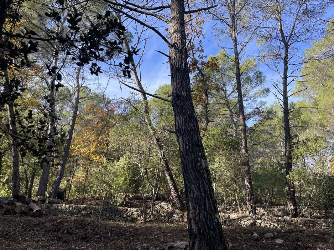Terrain à LORGUES