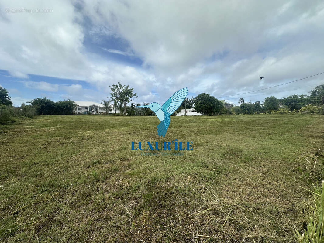 Terrain à SAINT-FRANCOIS