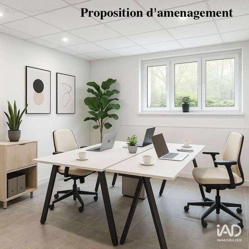 Photo 6 - Commerce à STRASBOURG