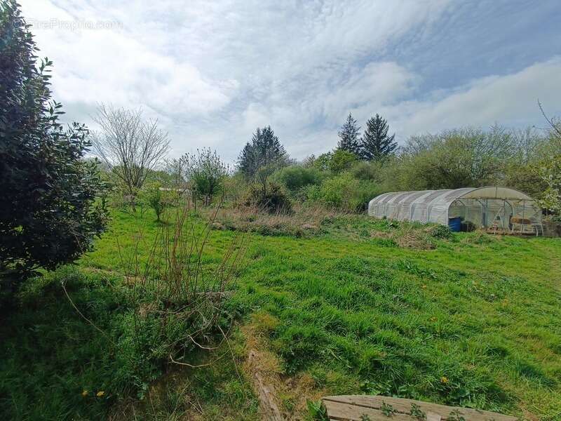  Écolieu en centre bourg - 2,4 ha - Scaër - photo 11