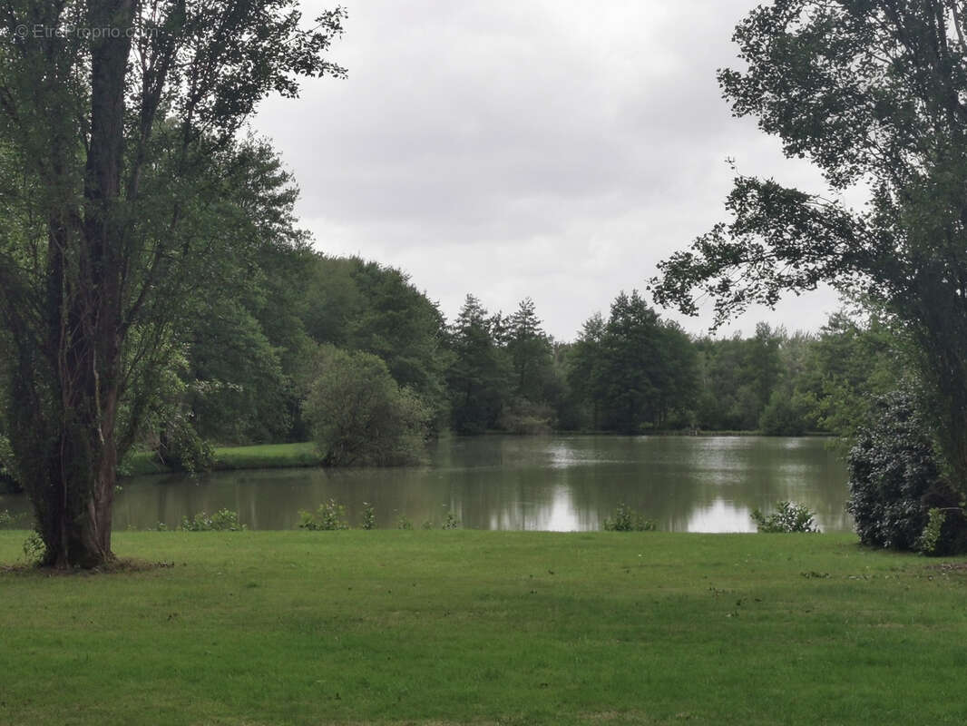 Belle propriété de 6.5ha avec deux étangs - photo 2