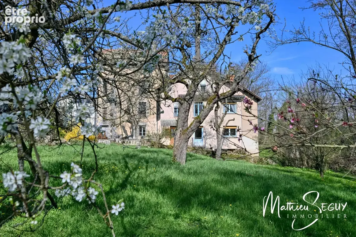 Ancien Moulin sur 1,3 Ha de terrain à MESSIMY (69) - photo 20