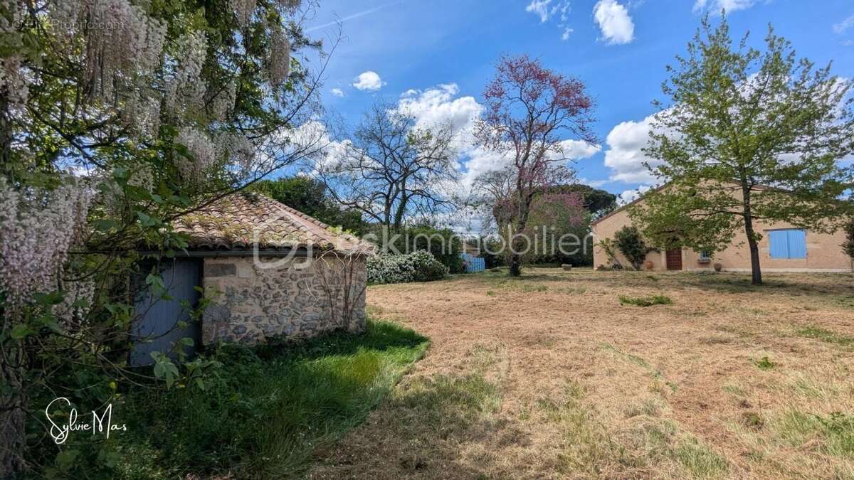 Maison à MONTAYRAL
