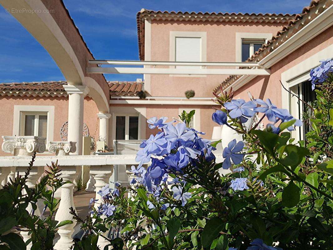 Villa Arles T 5/6  de 165 m²  avec Jardin - photo 6