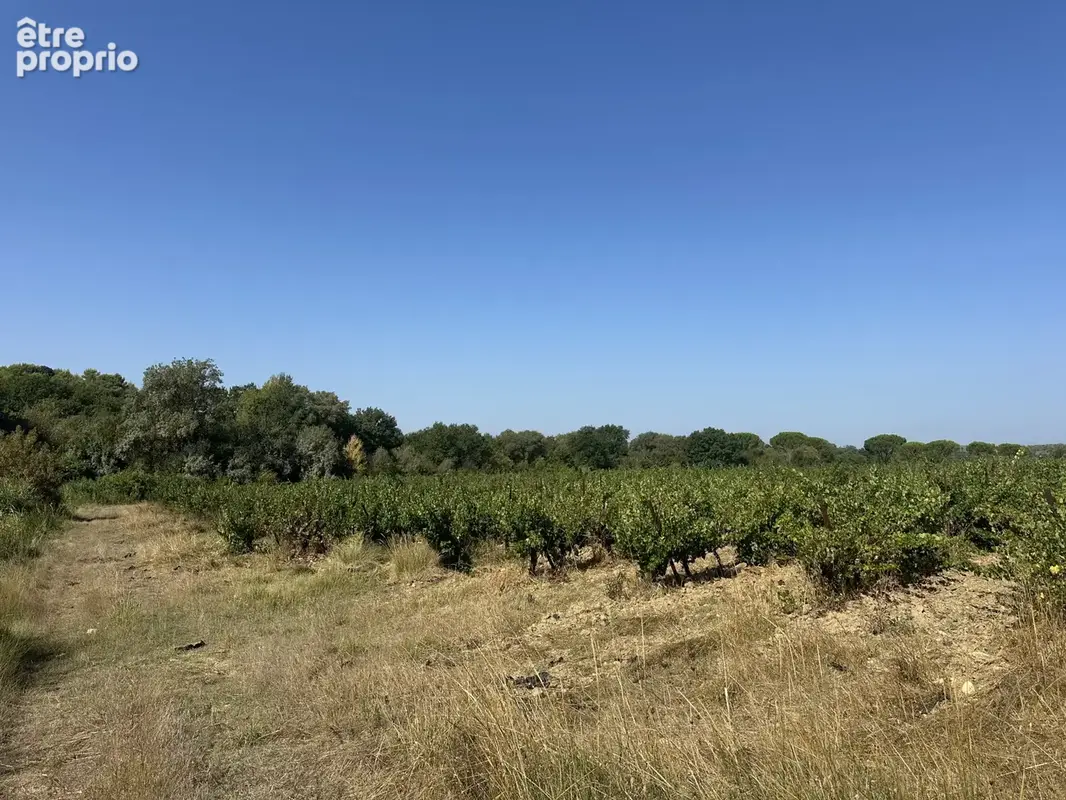 Photo Terrain à Souvignargues au prix de 17 000€