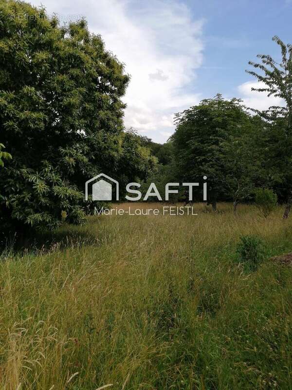 Photo 7 - Maison à CHARNIZAY