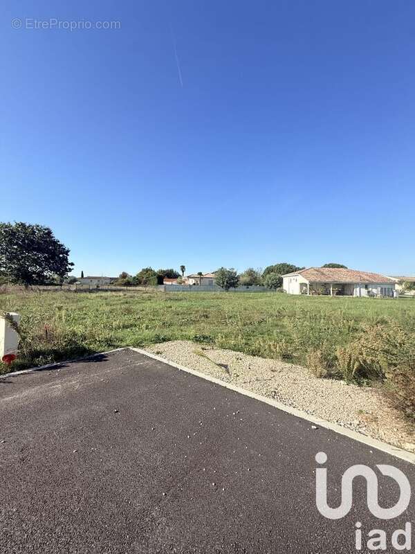 Photo 4 - Terrain à MONTAUBAN