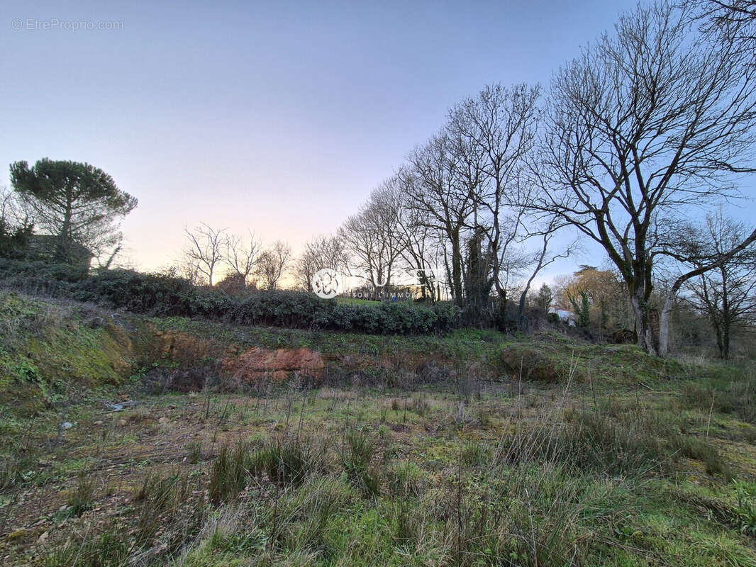 Terrain à LA ROCHE-SUR-YON