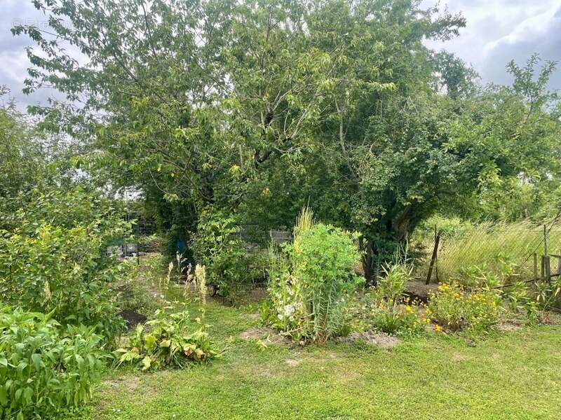 Maison à MORNAY-SUR-ALLIER