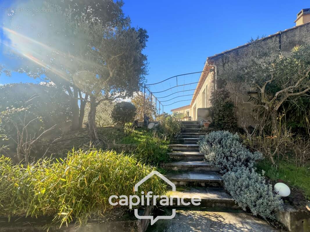 LES TAILLADES, maison individuelle de plain pied  de 210 m2, en campagne,  4 chambres, sur un terrain de 2900 m2 environ, piscin - photo 12