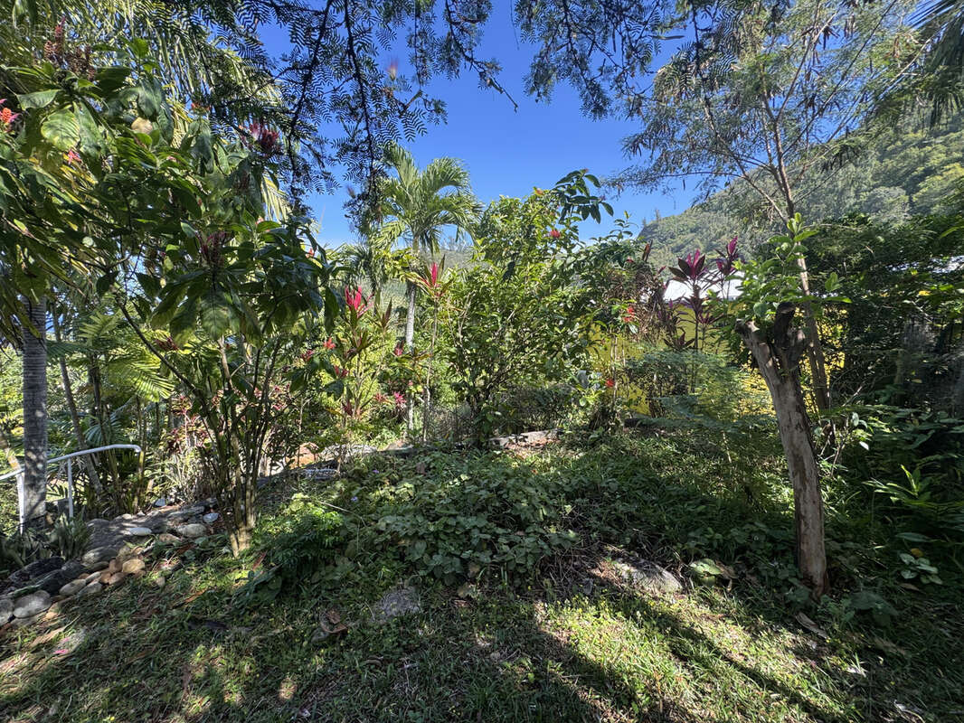 Maison à SAINT-JOSEPH