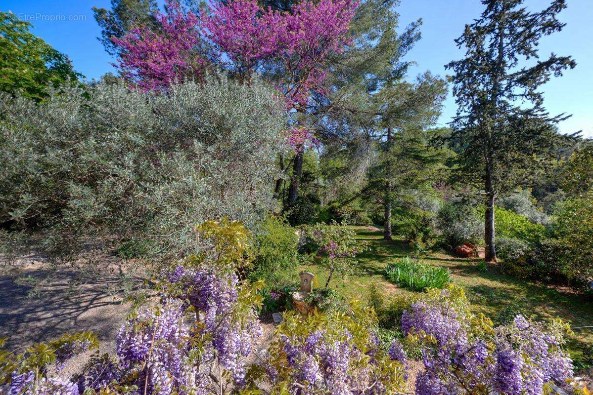 Maison à DRAGUIGNAN