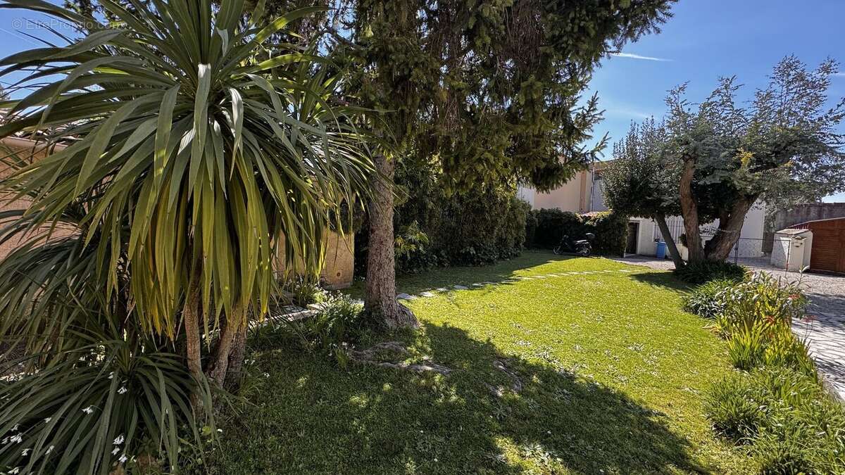Alpes maritimes (06) cannes la bocca - a v endre villa  avec terrasse et jardin privatif - photo 10