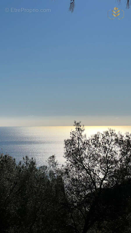Une nouvelle vie aux portes de monaco - photo 17