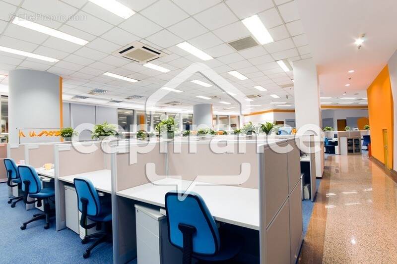 Commerce à LA CHAPELLE-DES-FOUGERETZ