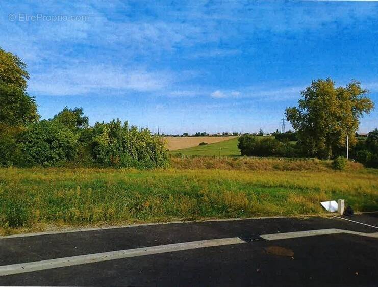 Terrain à QUINT-FONSEGRIVES