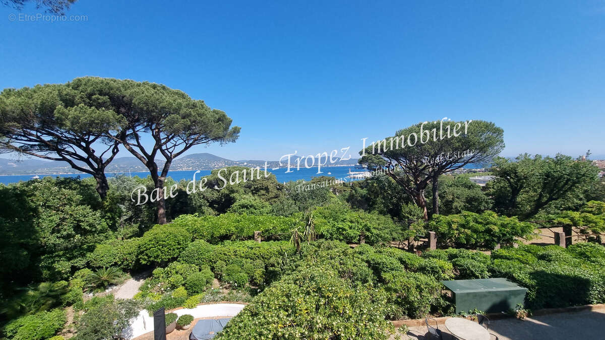 Appartement à SAINT-TROPEZ