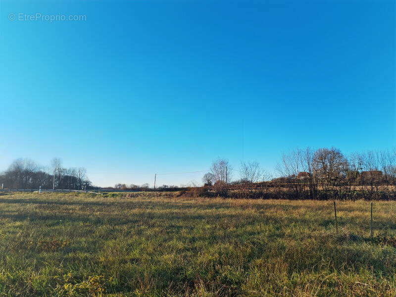 Terrain à NAVARRENX