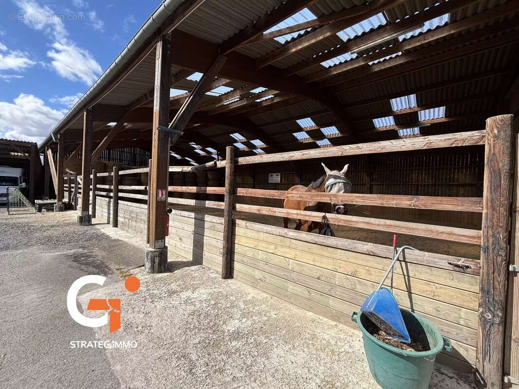 Propriété équestre et Habitation sur 14 Ha - photo 16