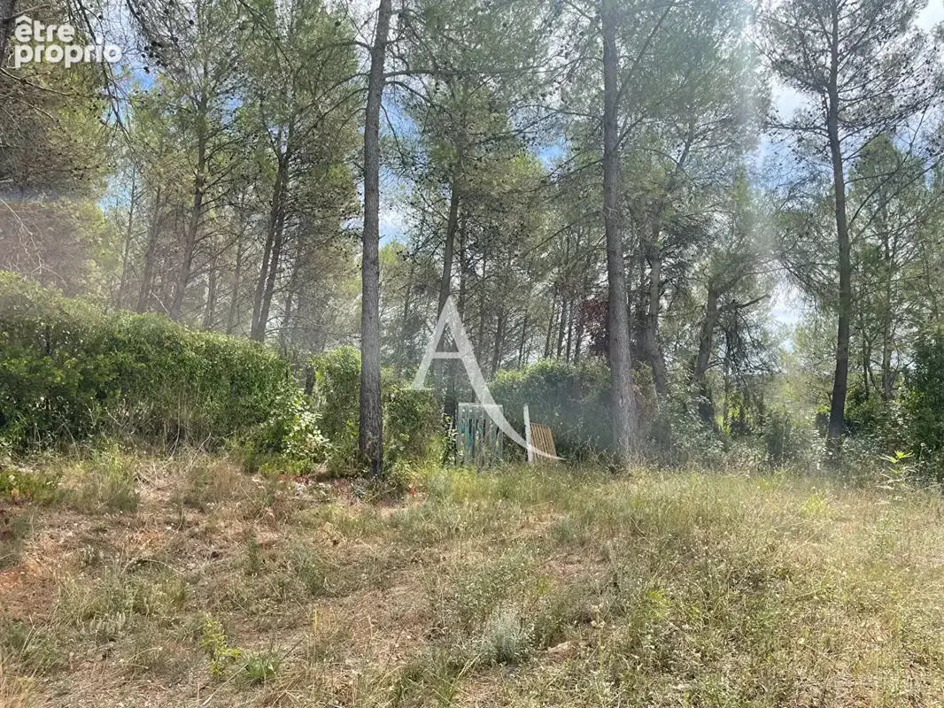 Grabels - terrain unique de 1 148 m² au coeur de la pinède - photo 2