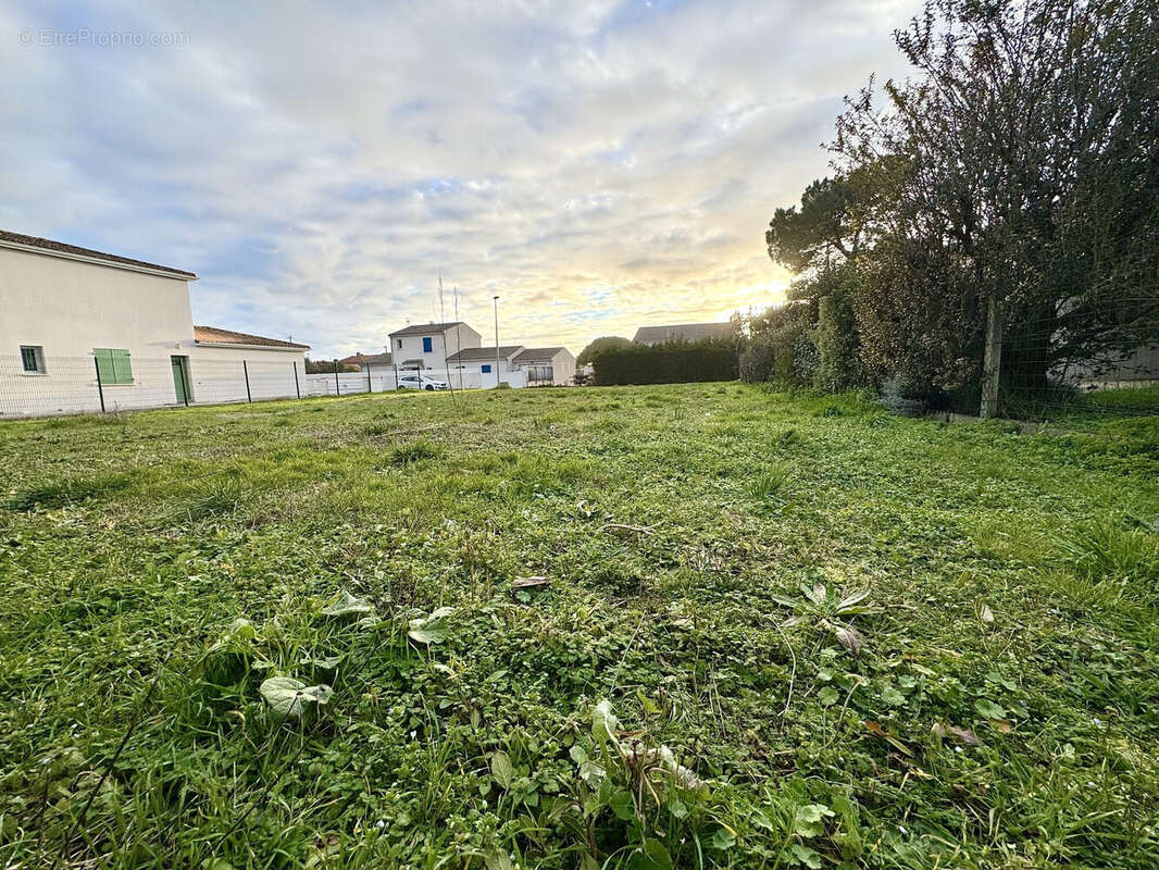 Terrain à VAUX-SUR-MER