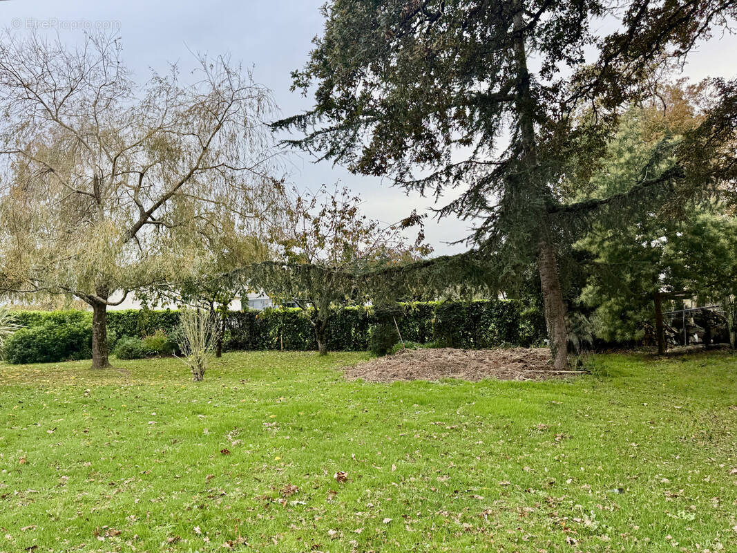 Terrain à HERBIGNAC