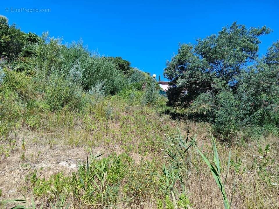 Terrain à SAINTE-MAXIME