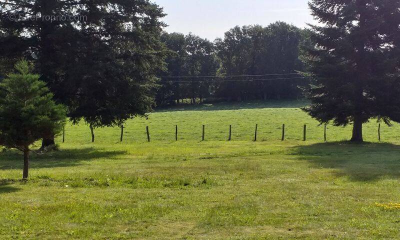 Terrain à SAINT-JUST-LE-MARTEL