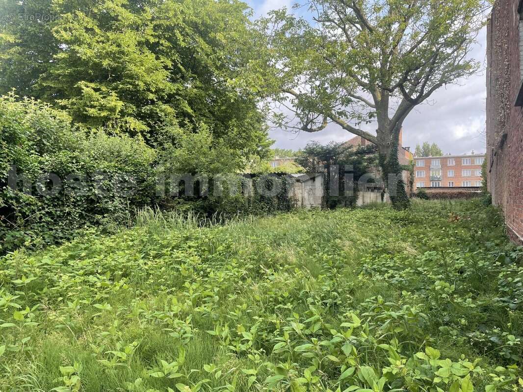 IMG_8706 - Terrain à TOURCOING