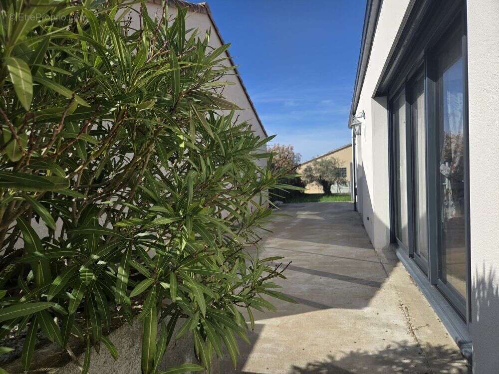 Maison à L'ILE-D'OLONNE