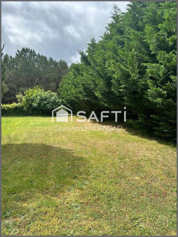 Photo 5 - Terrain à SAINT-GEORGES-D'OLERON