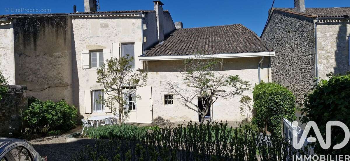 Photo 4