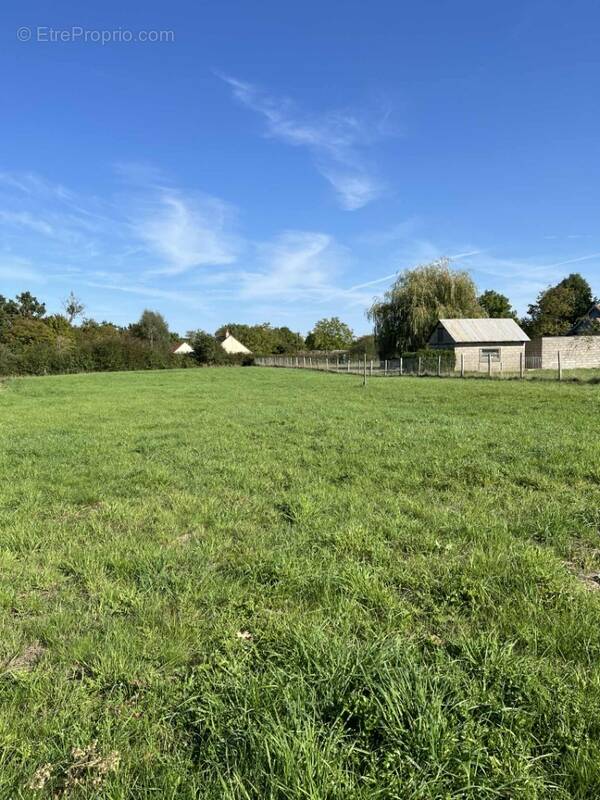 Terrain à VILLAINES-LA-CARELLE