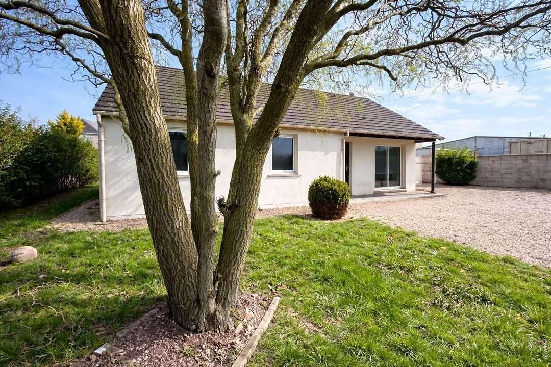 Maison à FERRIERE-LA-GRANDE